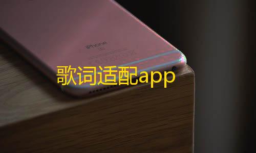 全网最低价歌词适配app